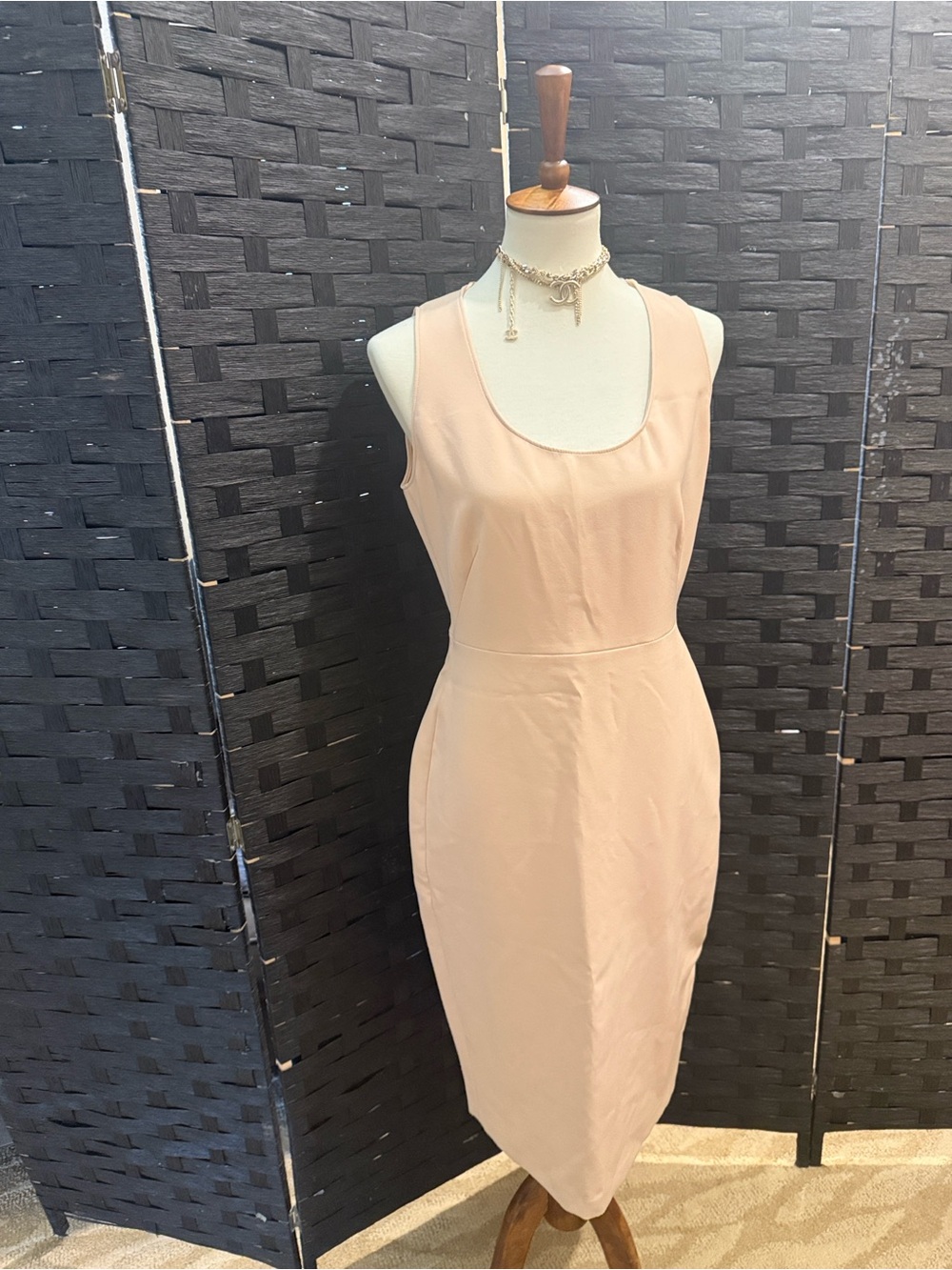 Zara Sleeveless Scoop Sheath Dress in Light Blush